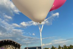 IMG_3661